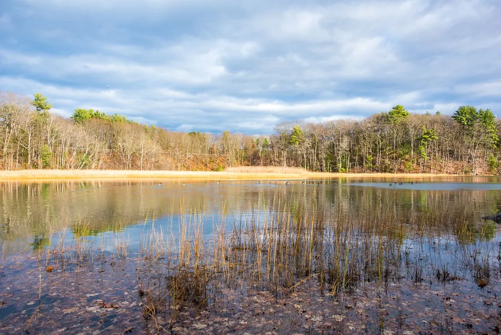 96 Tideview Drive Dover NH 03820