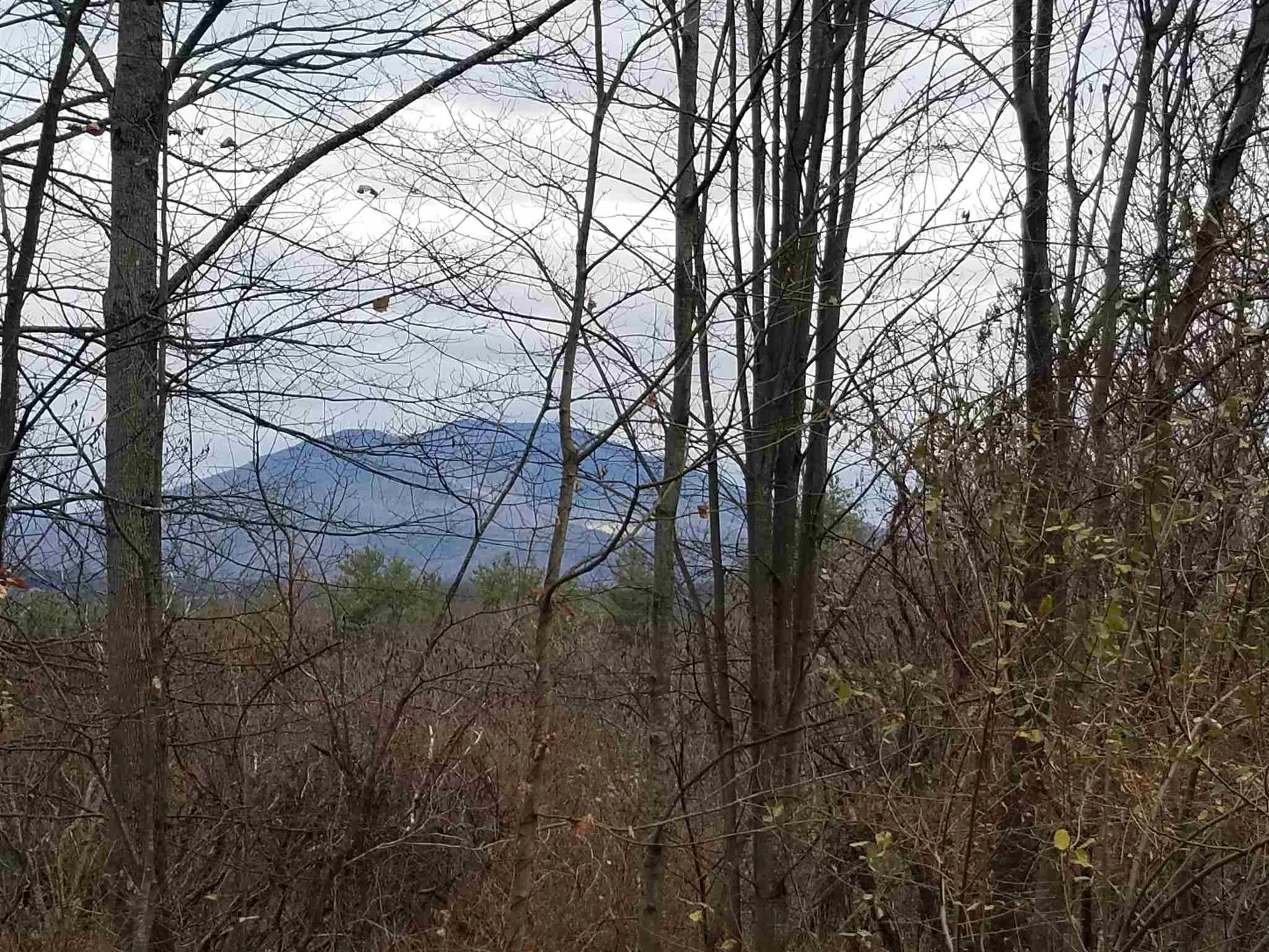 0 Foisy Hill Road Claremont NH 03743