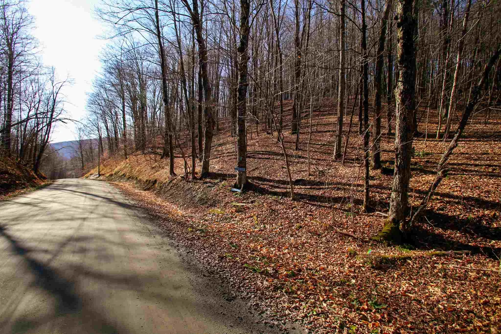 1262 Parker Road Vershire VT 05079