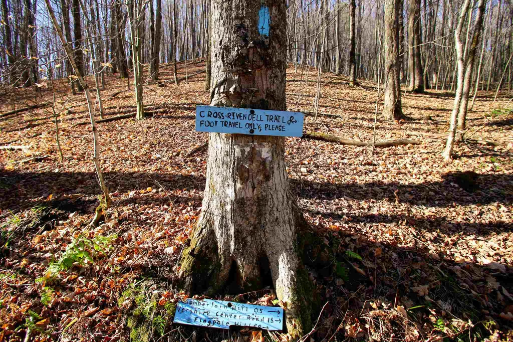 1262 Parker Road Vershire VT 05079