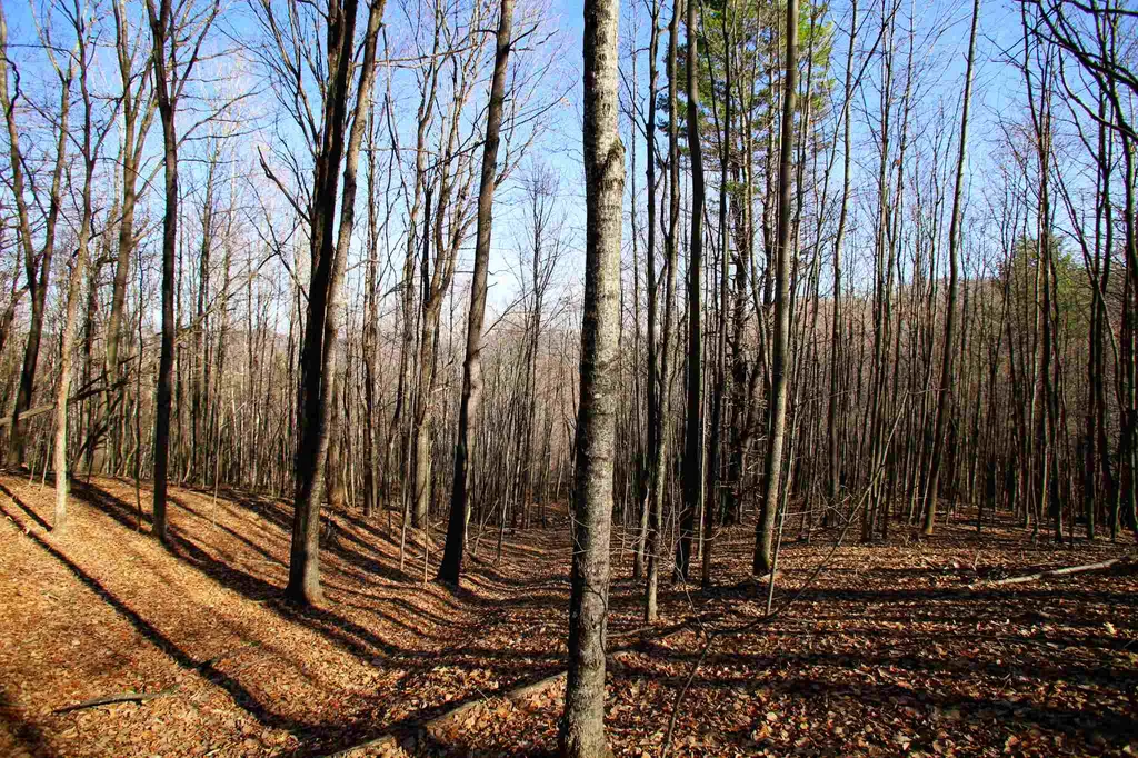 1262 Parker Road Vershire VT 05079