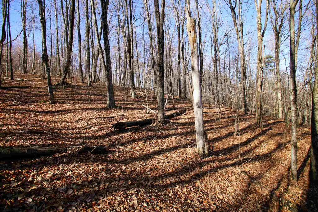 1262 Parker Road Vershire VT 05079