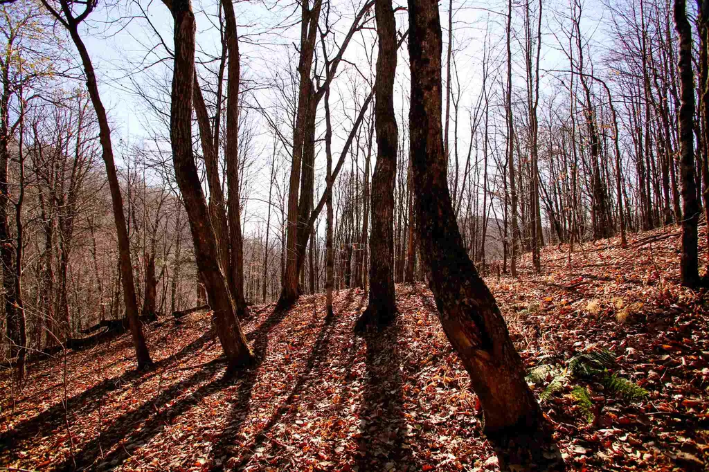 1262 Parker Road Vershire VT 05079