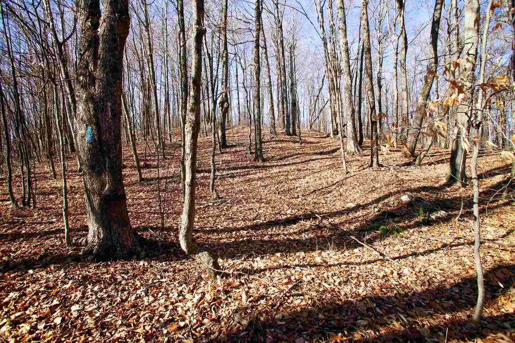 1262 Parker Road Vershire VT 05079