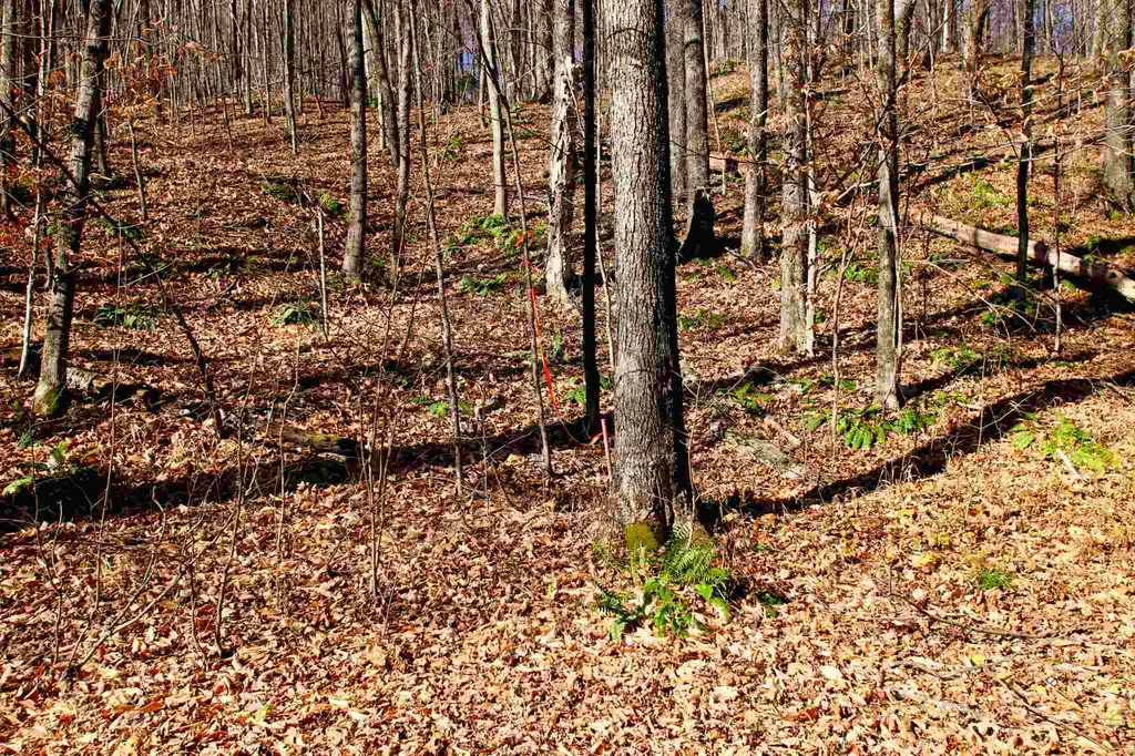 1262 Parker Road Vershire VT 05079