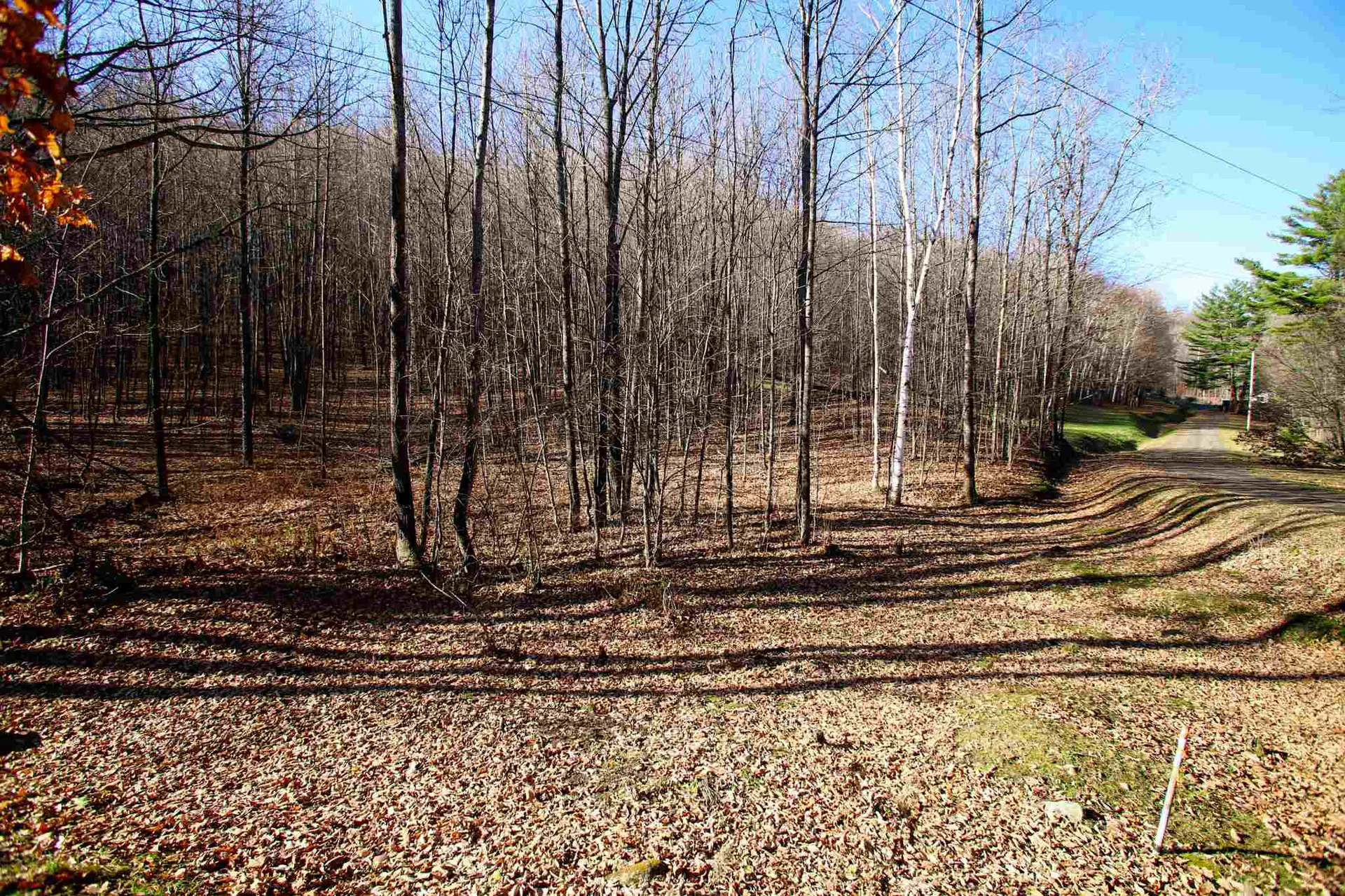 1262 Parker Road Vershire VT 05079
