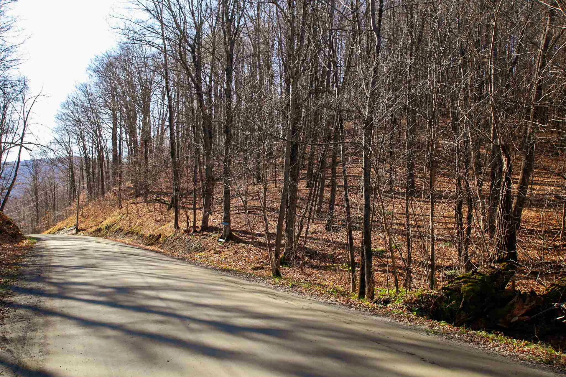 1262 Parker Road Vershire VT 05079