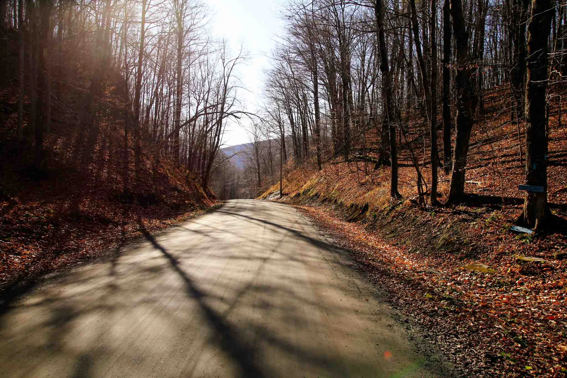 1262 Parker Road Vershire VT 05079