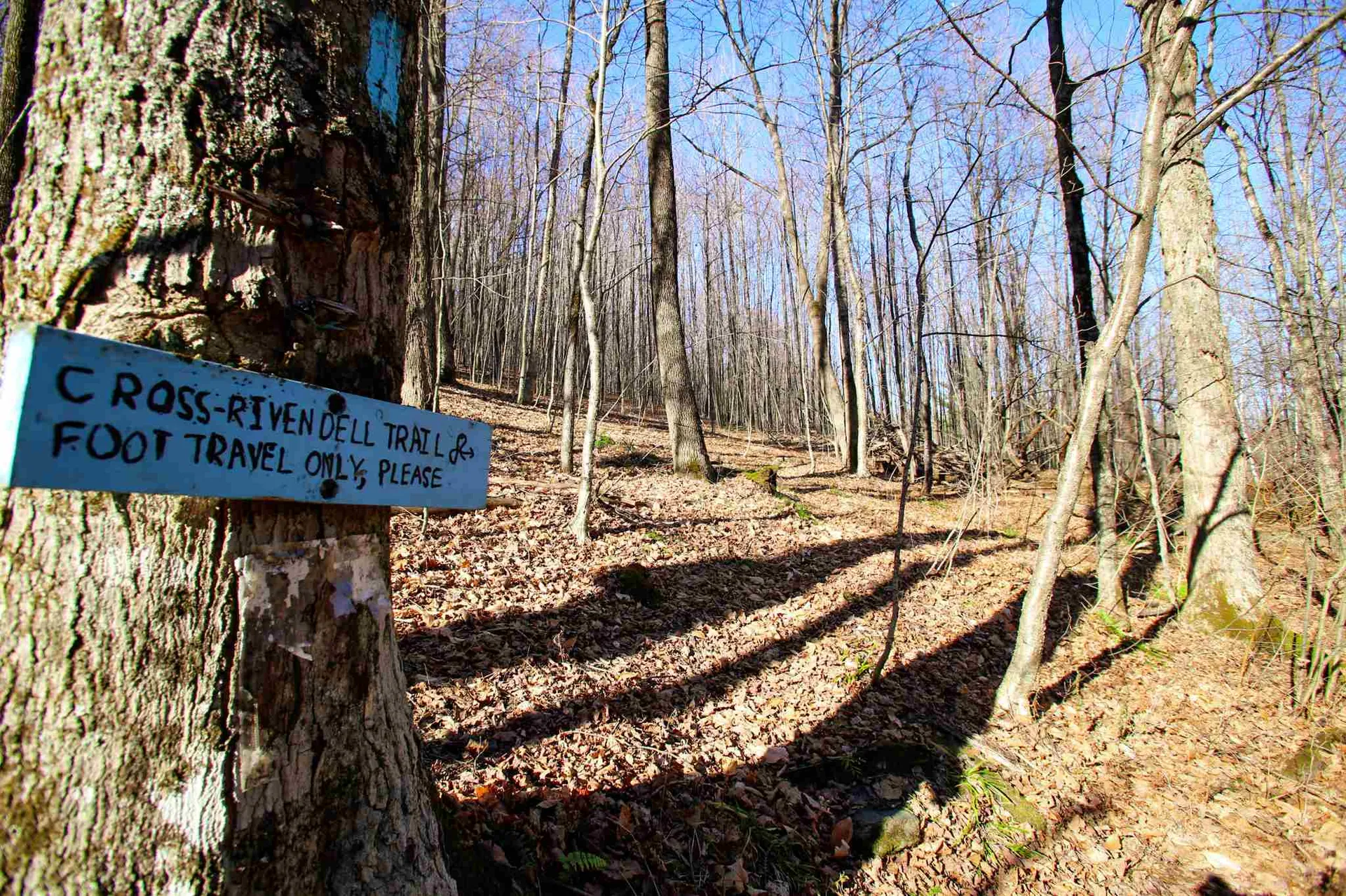 1262 Parker Road Vershire VT 05079