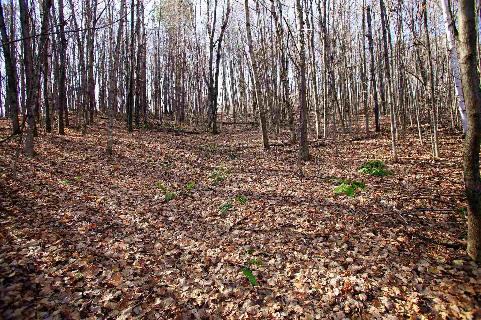 1262 Parker Road Vershire VT 05079