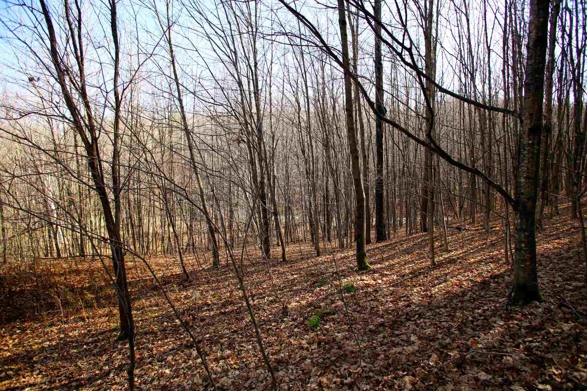 1262 Parker Road Vershire VT 05079