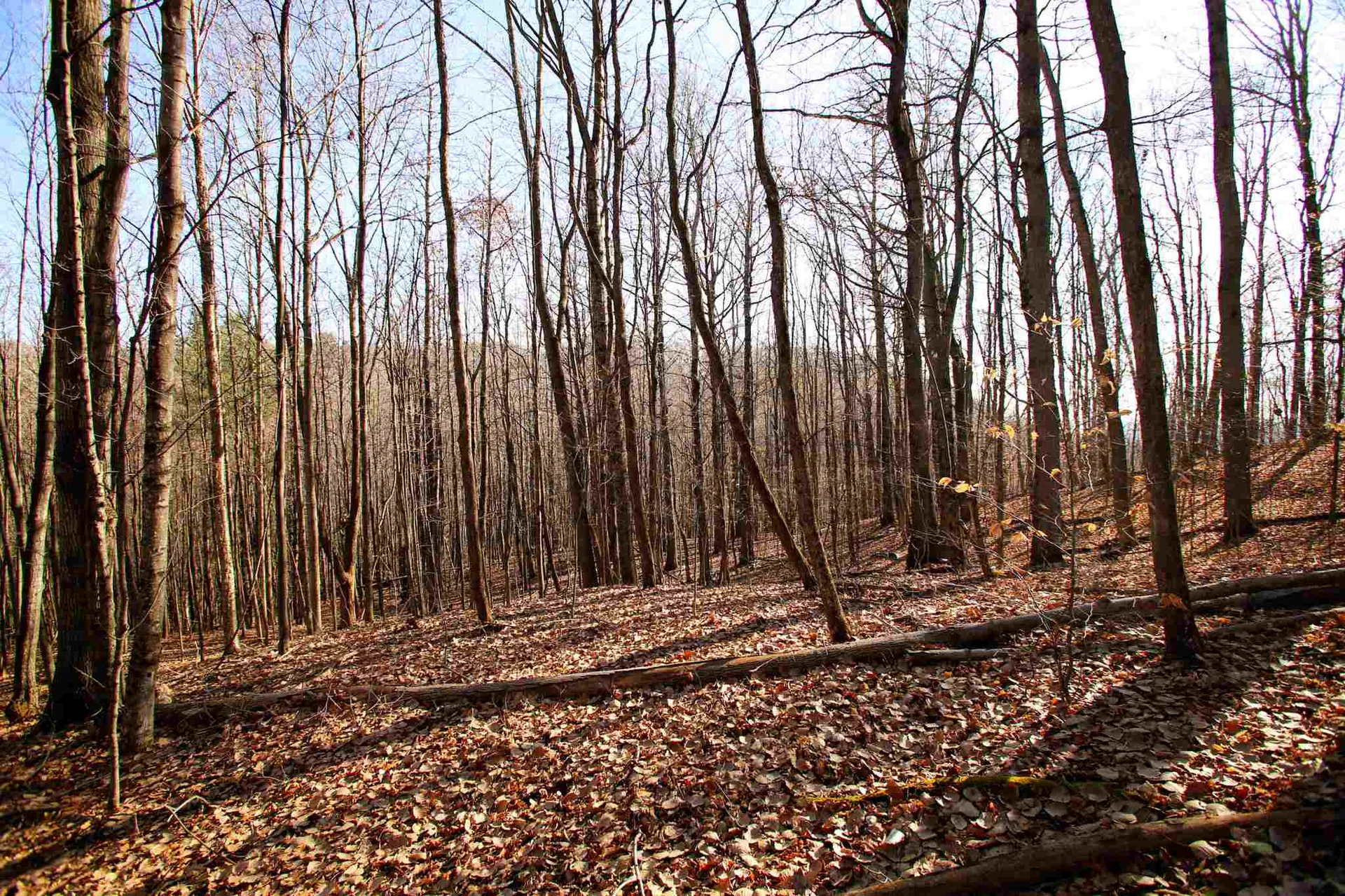 1262 Parker Road Vershire VT 05079