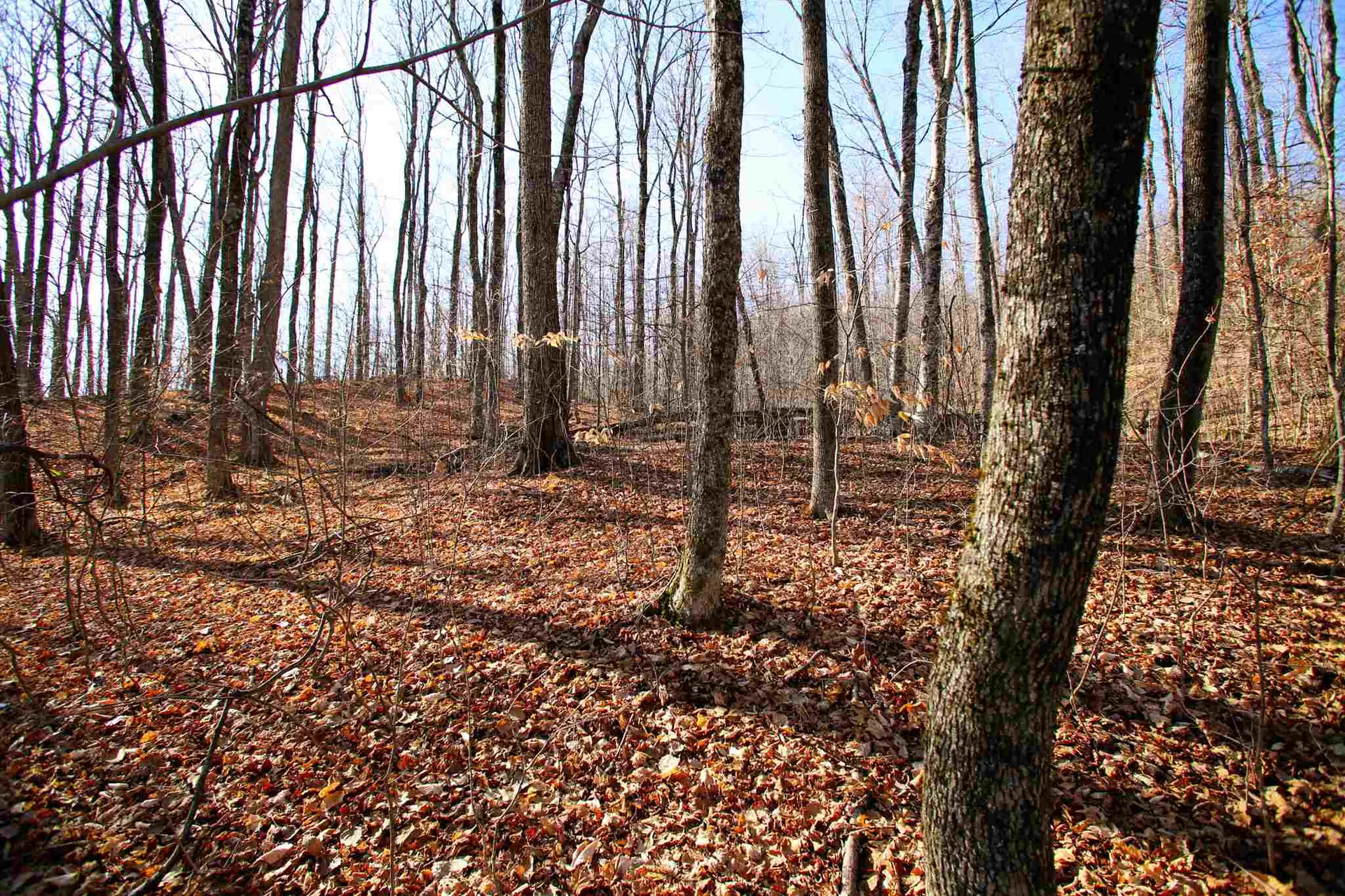 1262 Parker Road Vershire VT 05079