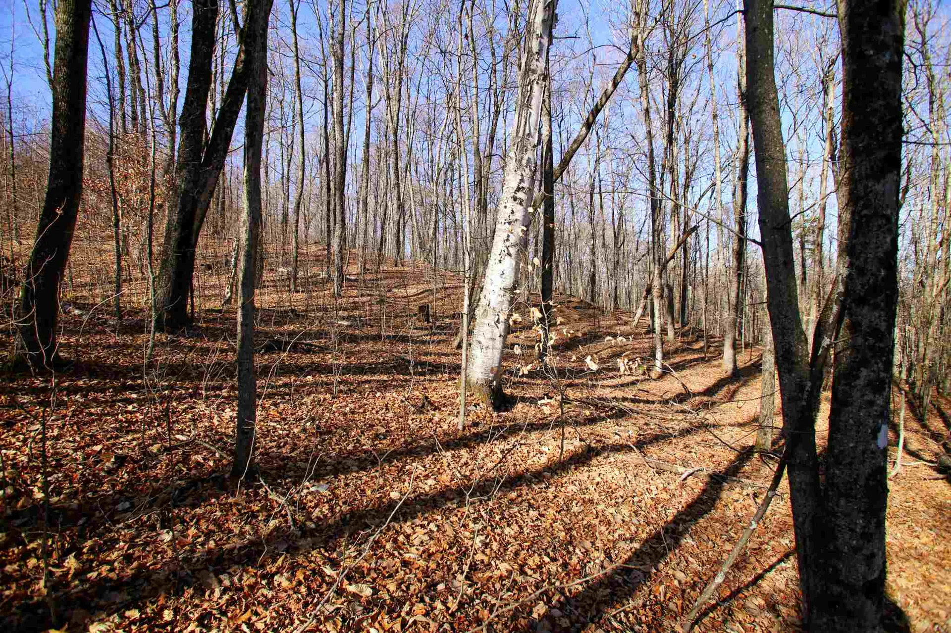 1262 Parker Road Vershire VT 05079