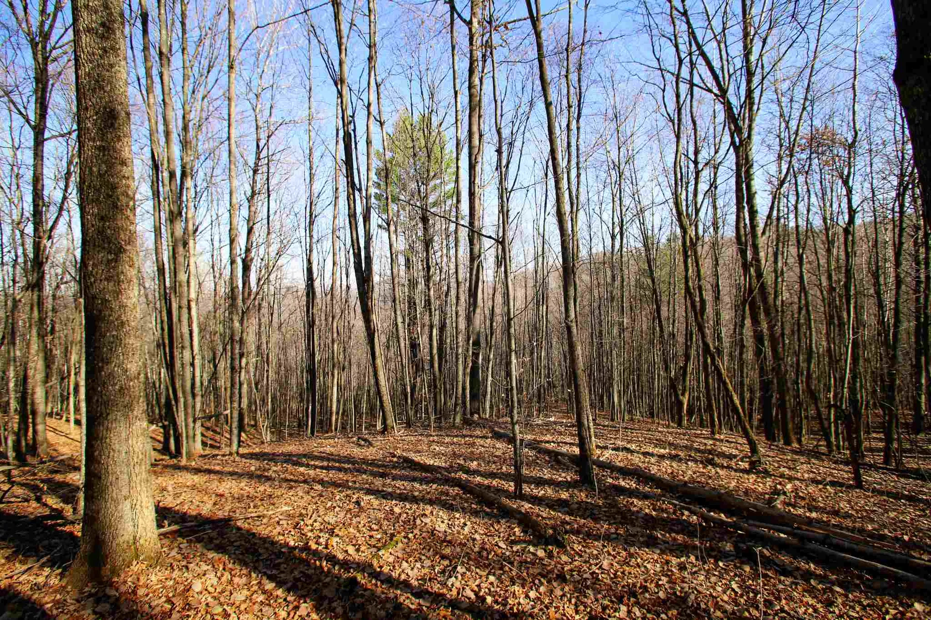 1262 Parker Road Vershire VT 05079