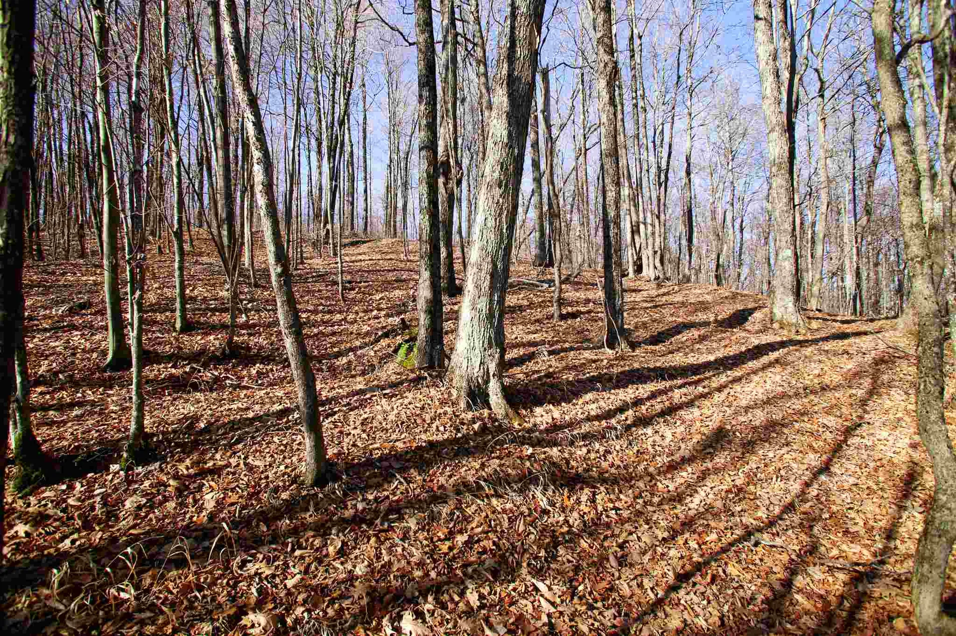1262 Parker Road Vershire VT 05079
