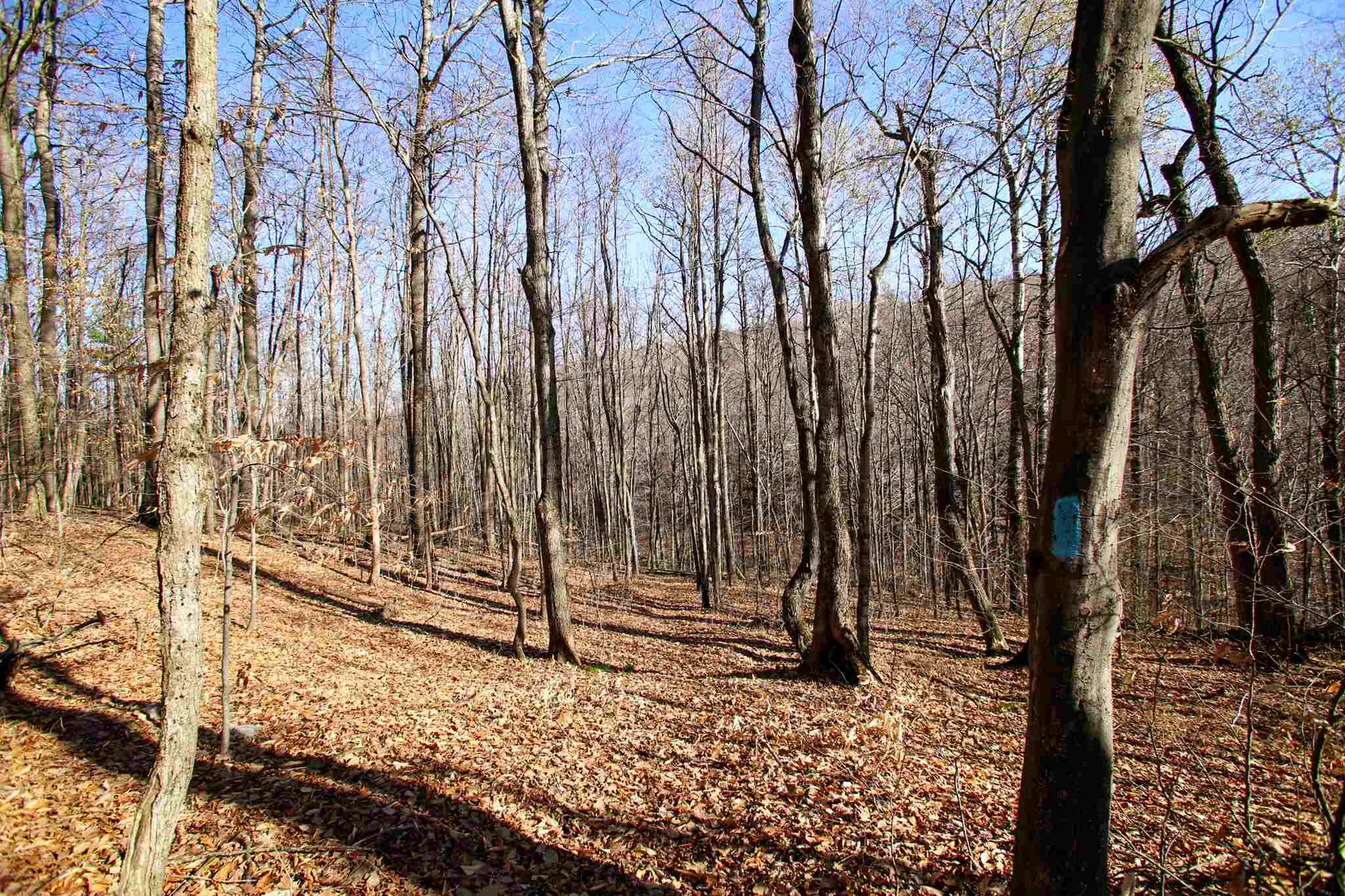 1262 Parker Road Vershire VT 05079