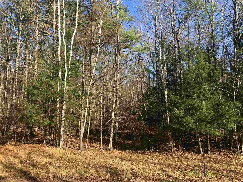 0 Nh Route 10 Piermont NH 03779