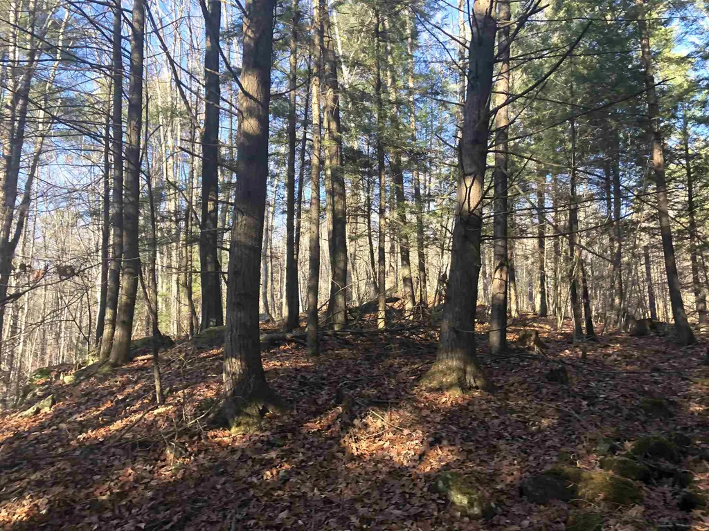 0 Nh Route 10 Piermont NH 03779