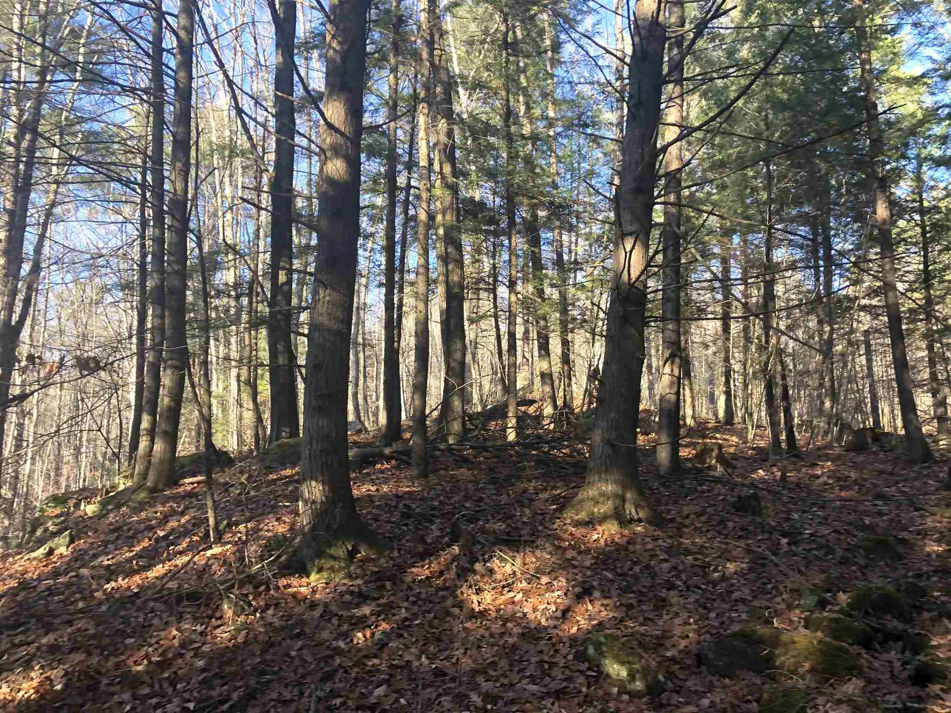 0 Nh Route 10 Piermont NH 03779