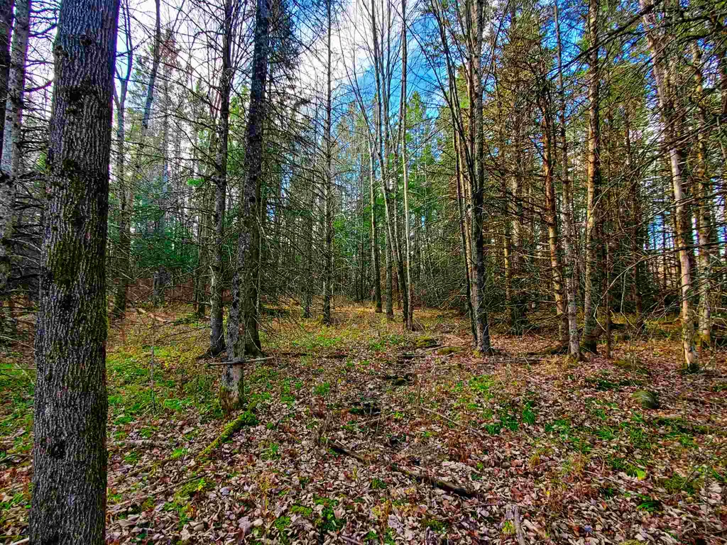 405 Morningside Drive Newport Town VT 05857