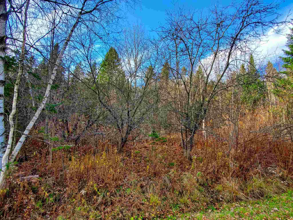 405 Morningside Drive Newport Town VT 05857