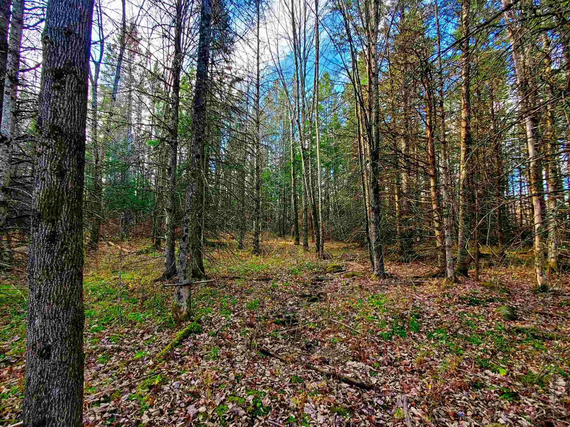 405 Morningside Drive Newport Town VT 05857