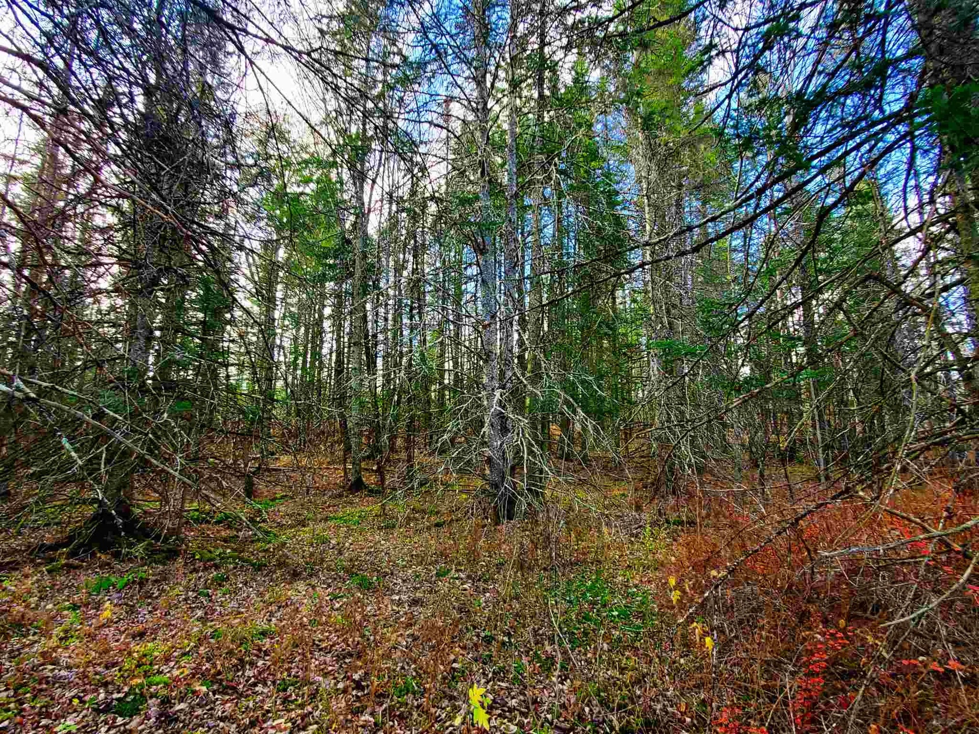 405 Morningside Drive Newport Town VT 05857