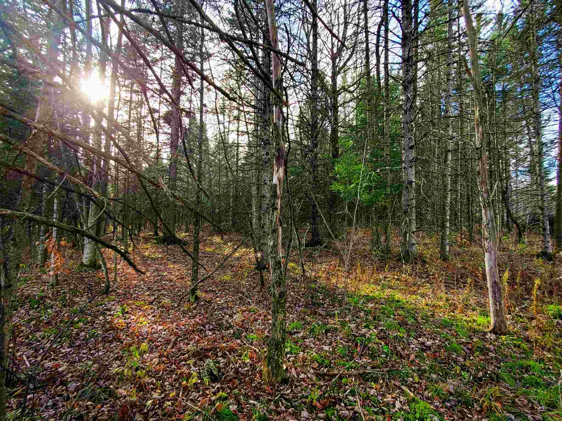 405 Morningside Drive Newport Town VT 05857