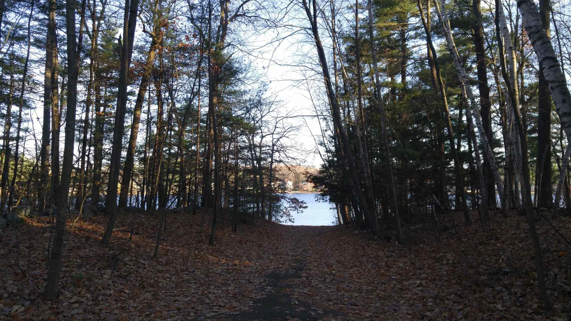 15 Birchwood Road Windham NH 03087