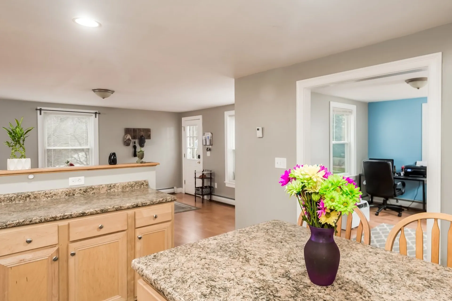 20 Watson Drive Rochester NH 03867