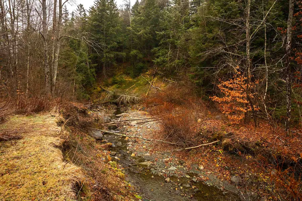 1422 Lillieville Brook Road Bethel VT 05032