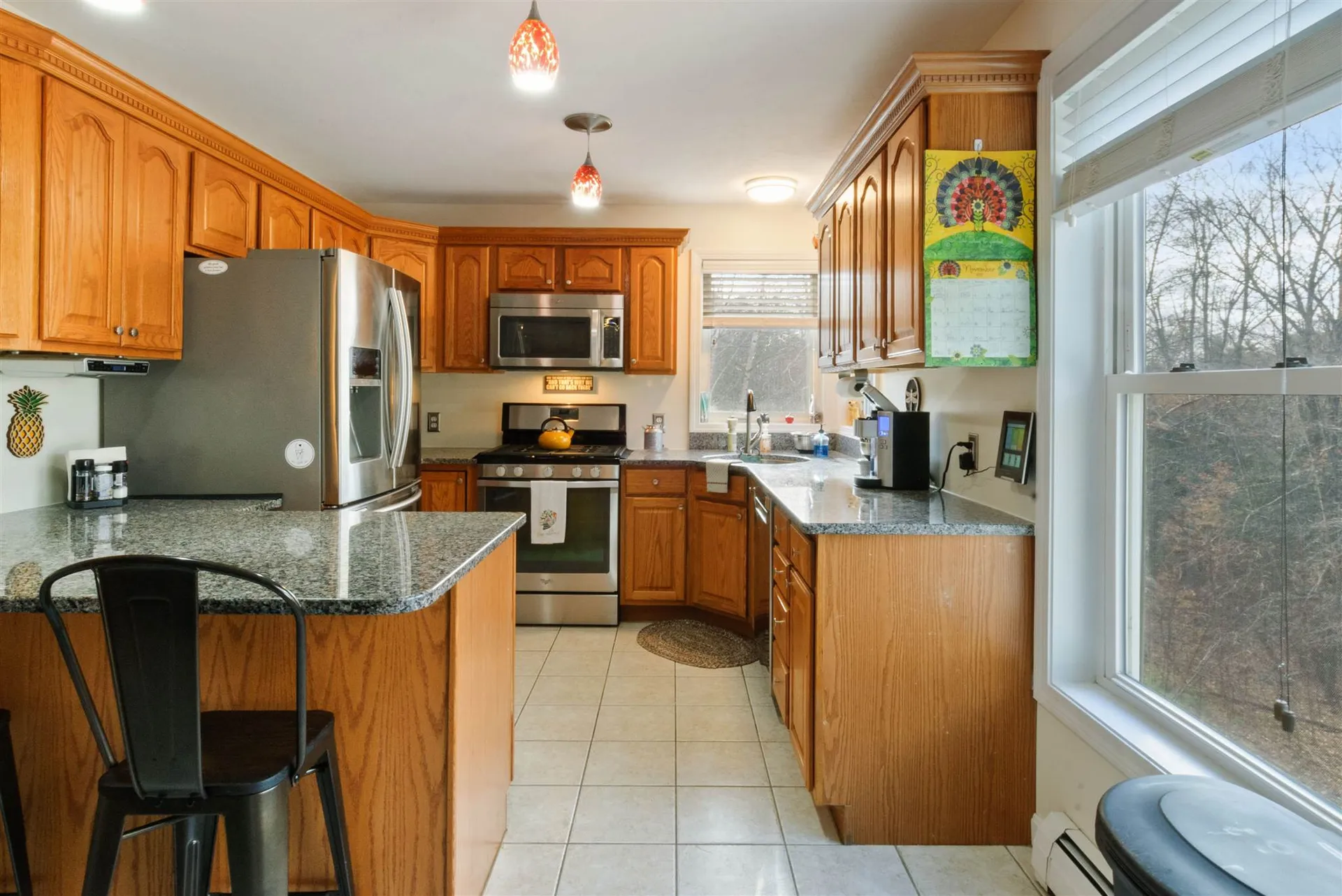 193 Chestnut Drive Gilford NH 03249