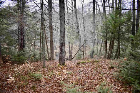 44 Mill Road Strafford NH 03884