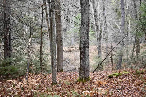 44 Mill Road Strafford NH 03884