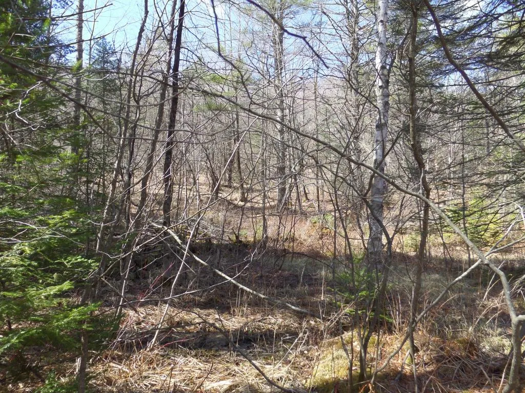 00 Wheeler Hill Road Woodbury VT 05681
