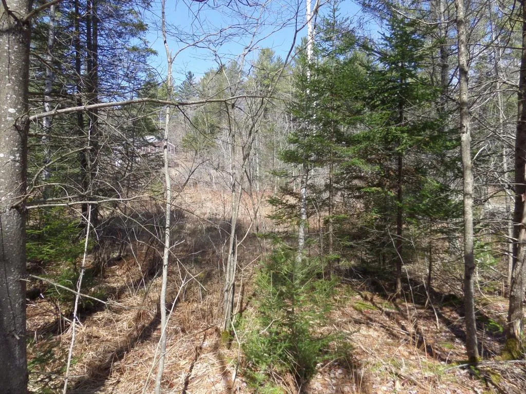 00 Wheeler Hill Road Woodbury VT 05681