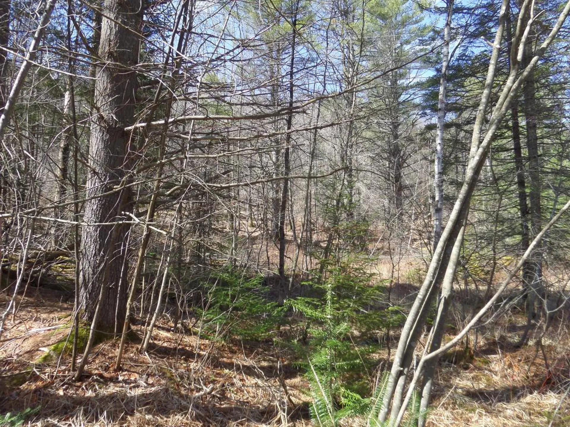 00 Wheeler Hill Road Woodbury VT 05681