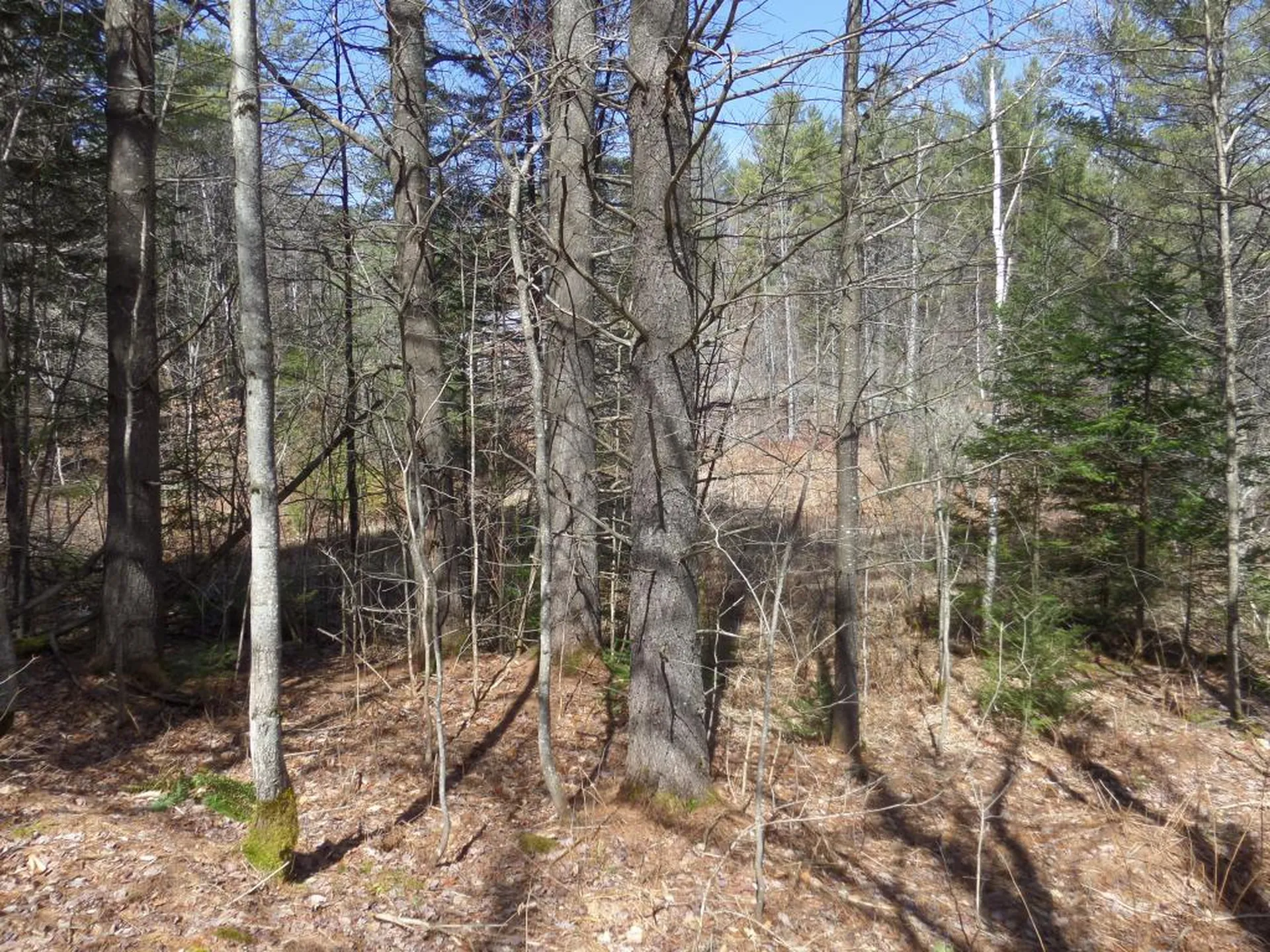 00 Wheeler Hill Road Woodbury VT 05681