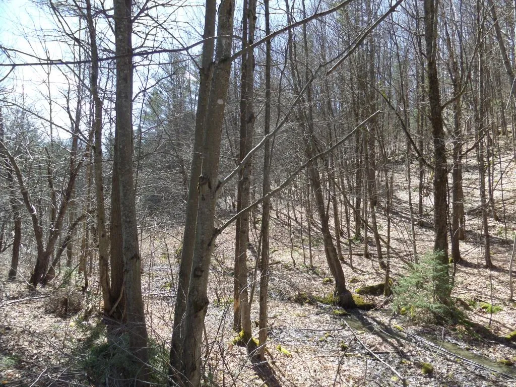 00 Valley Lake Road Woodbury VT 05681