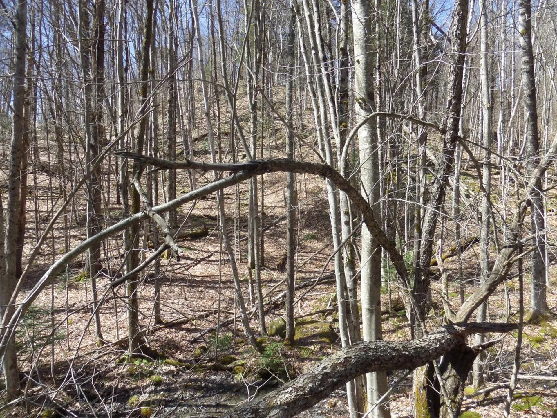 00 Valley Lake Road Woodbury VT 05681
