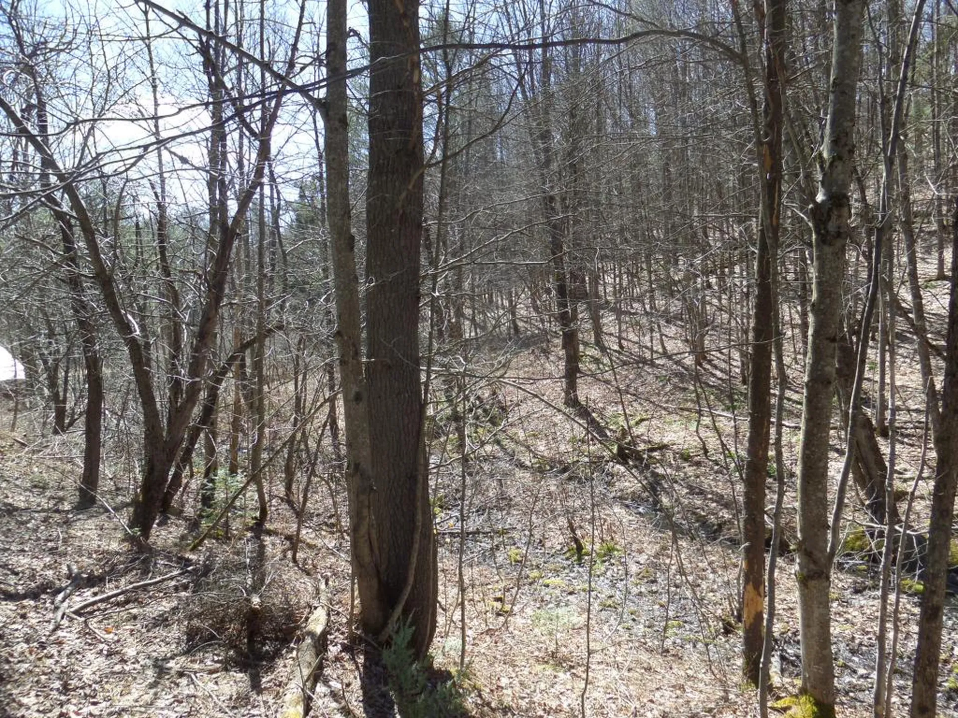 00 Valley Lake Road Woodbury VT 05681