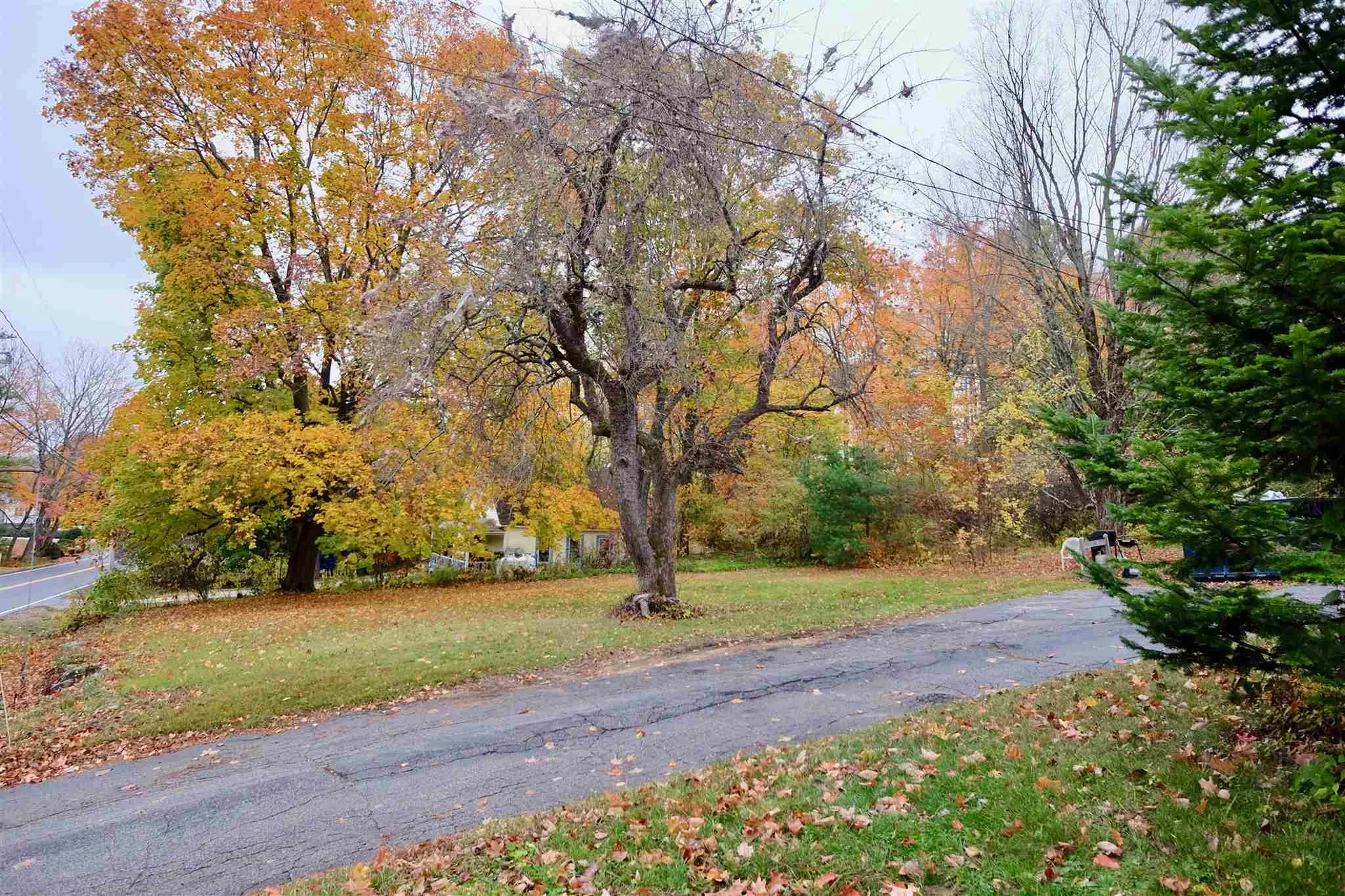 50 Leavitt Road Pittsfield NH 03263