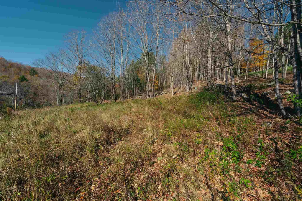 314 Justin Morrill Highway Strafford VT 05072