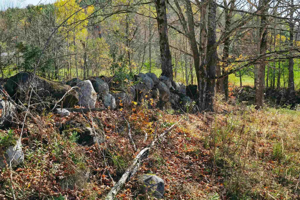 314 Justin Morrill Highway Strafford VT 05072