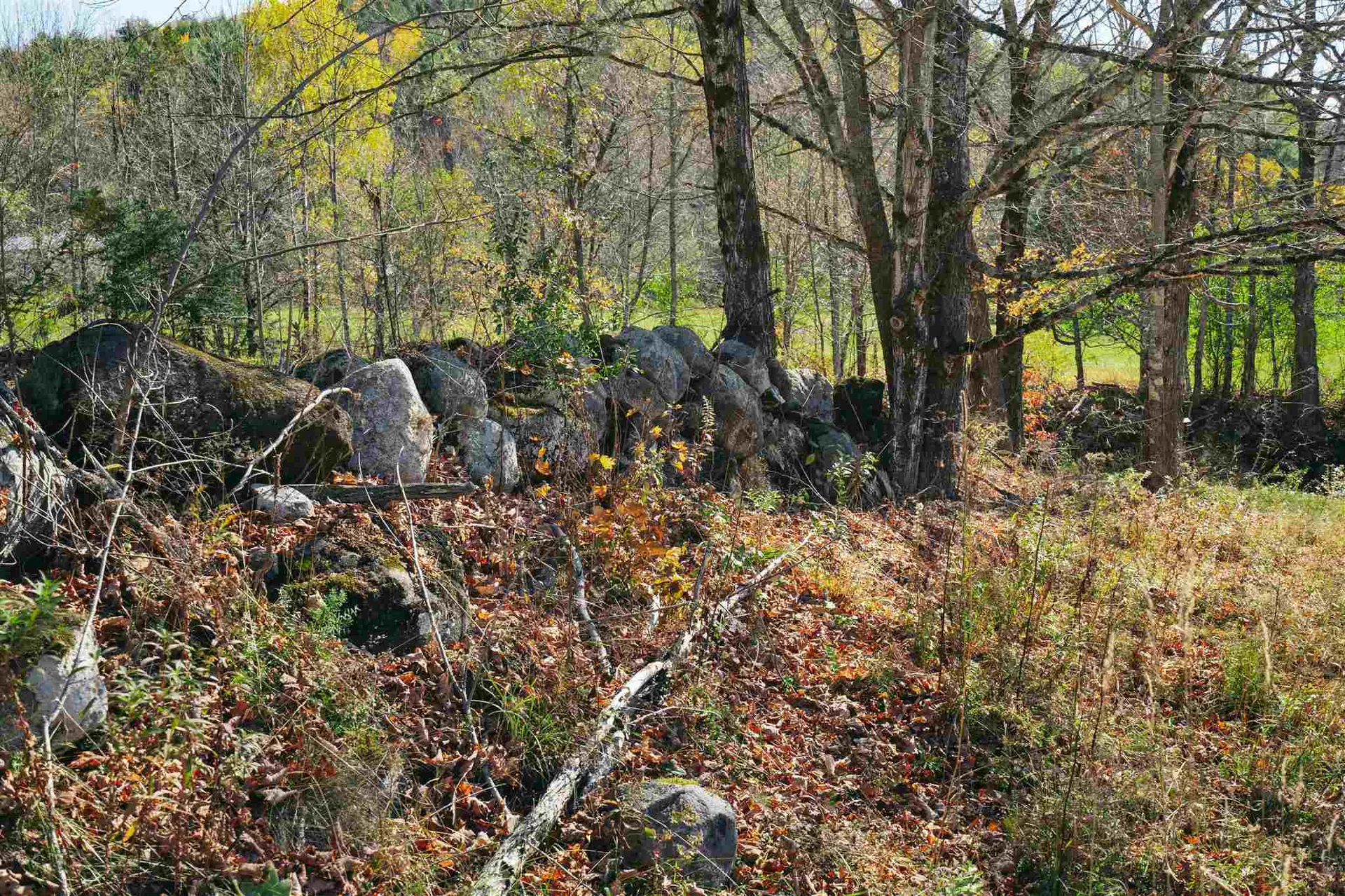 314 Justin Morrill Highway Strafford VT 05072