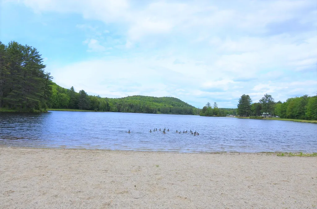 Lot 5 Lakeview Circle Croydon NH 03773