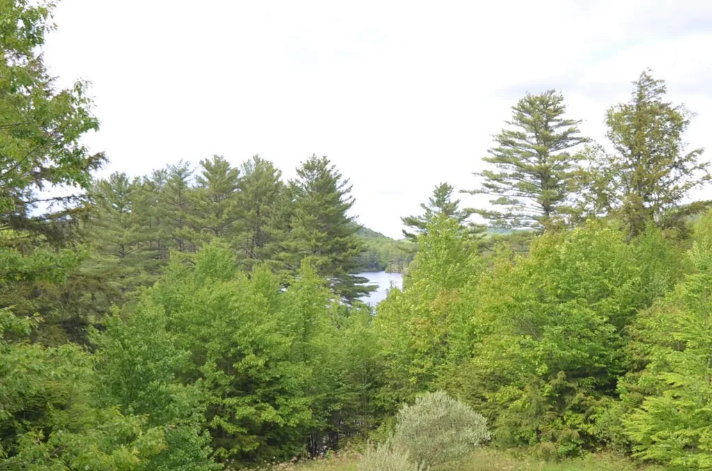 Lot 5 Lakeview Circle Croydon NH 03773