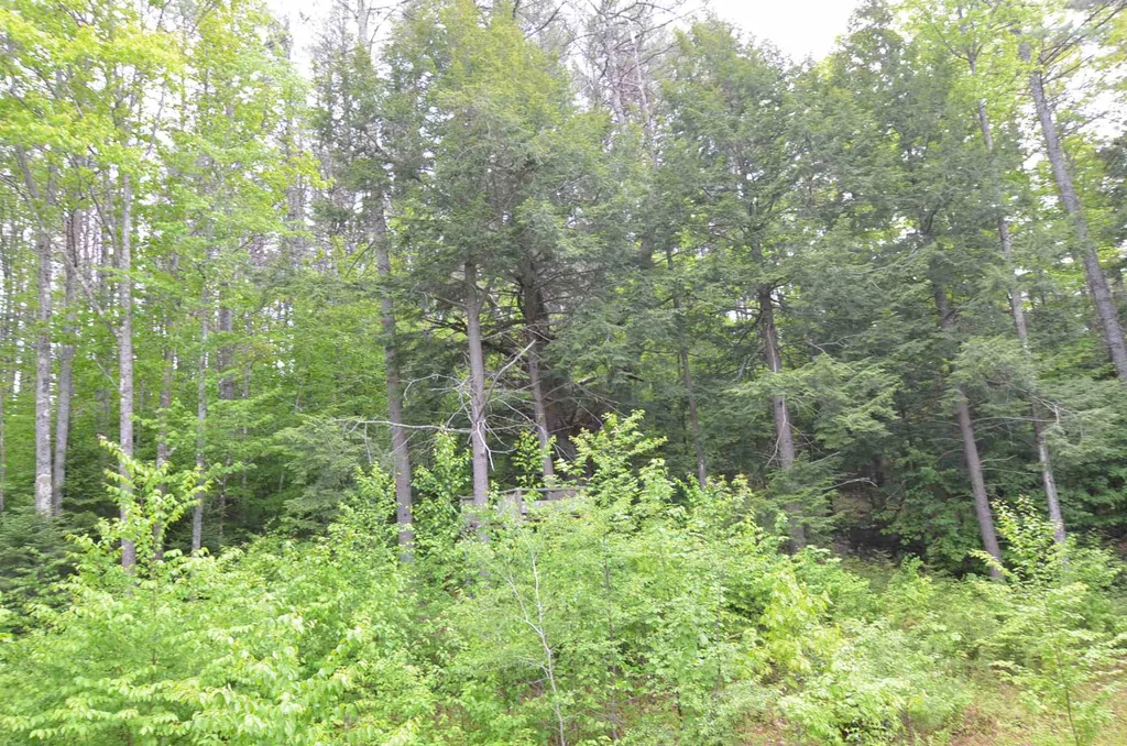 Lot 5 Lakeview Circle Croydon NH 03773