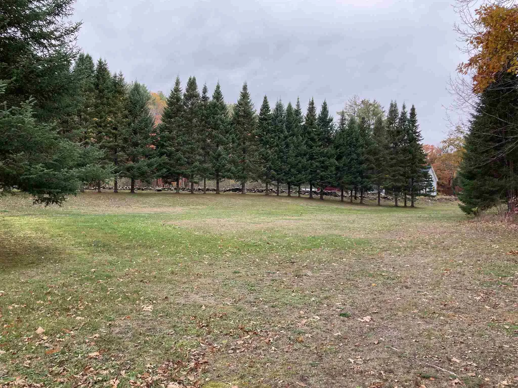 163 Athens Road Grafton VT 05154